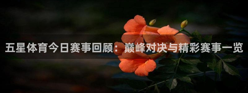 五星体育今日赛事回顾：巅峰对决与精彩赛事一览