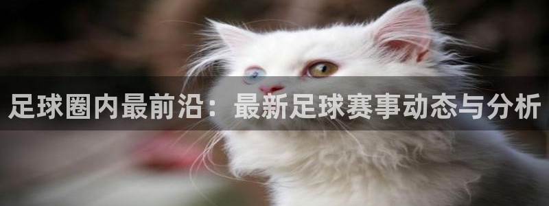 足球圈内最前沿：最新足球赛事动态与分析