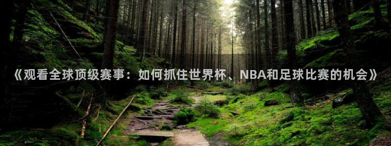 《观看全球顶级赛事：如何抓住世界杯、NBA和足球比赛的机会》