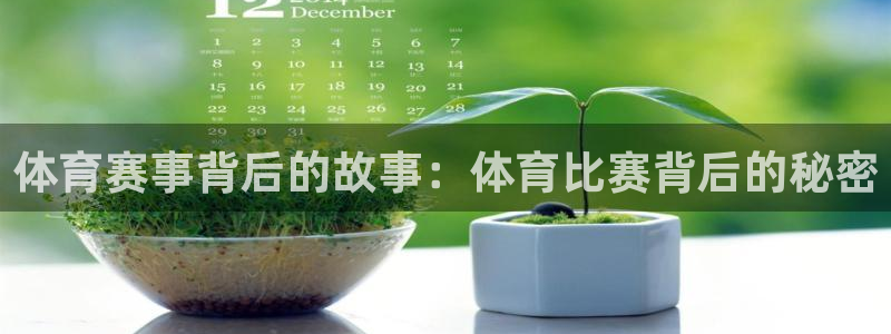 体育赛事背后的故事：体育比赛背后的秘密