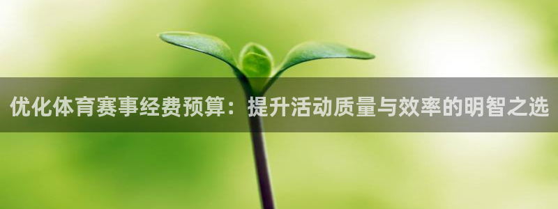 优化体育赛事经费预算：提升活动质量与效率的明智之选