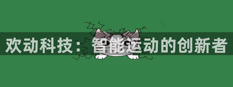 欢动科技：智能运动的创新者