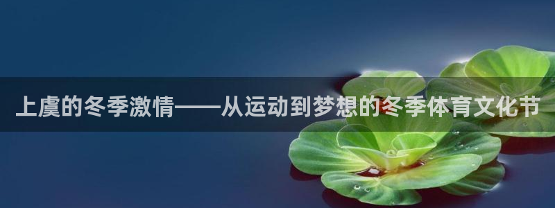 上虞的冬季激情——从运动到梦想的冬季体育文化节