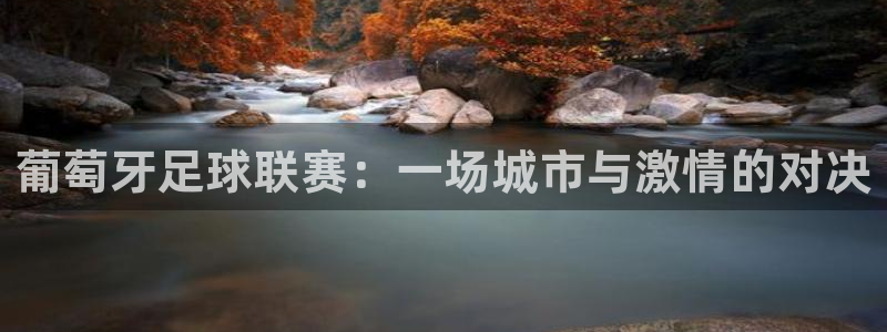 葡萄牙足球联赛：一场城市与激情的对决