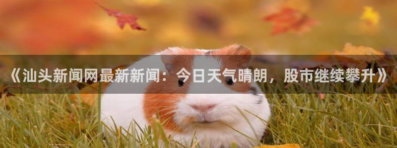 《汕头新闻网最新新闻：今日天气晴朗，股市继续攀升》
