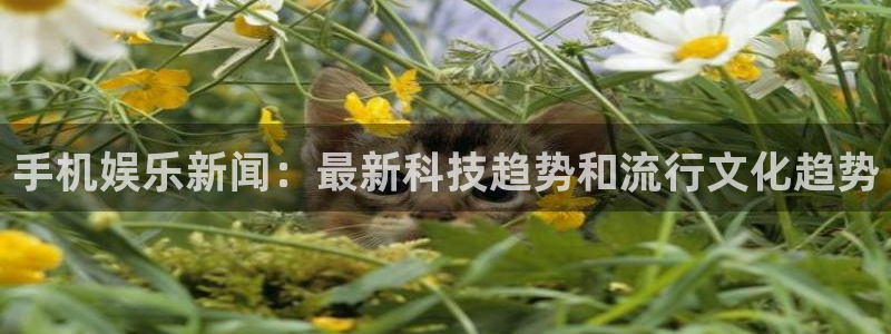 手机娱乐新闻：最新科技趋势和流行文化趋势