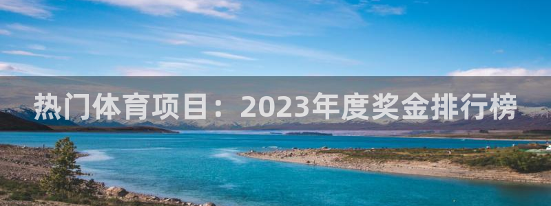热门体育项目：2023年度奖金排行榜