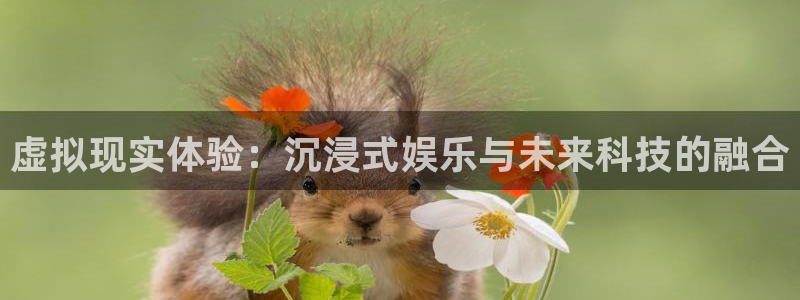 虚拟现实体验：沉浸式娱乐与未来科技的融合