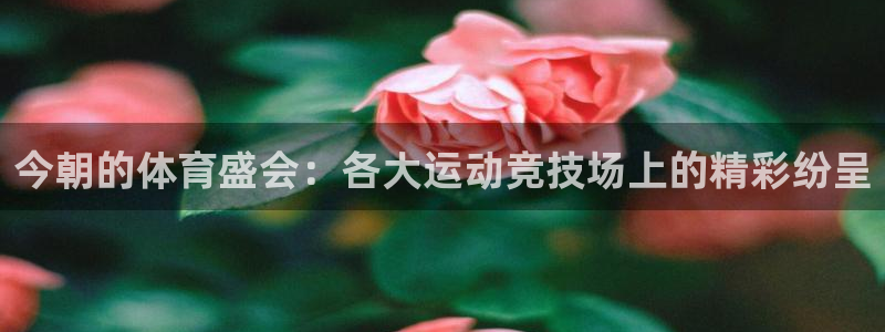 今朝的体育盛会：各大运动竞技场上的精彩纷呈