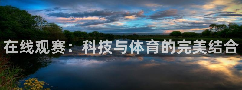 在线观赛：科技与体育的完美结合