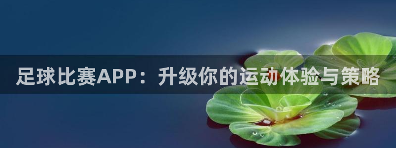 足球比赛APP：升级你的运动体验与策略