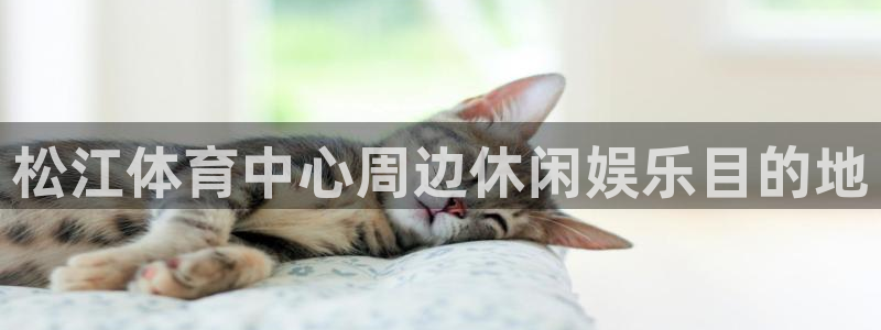 松江体育中心周边休闲娱乐目的地