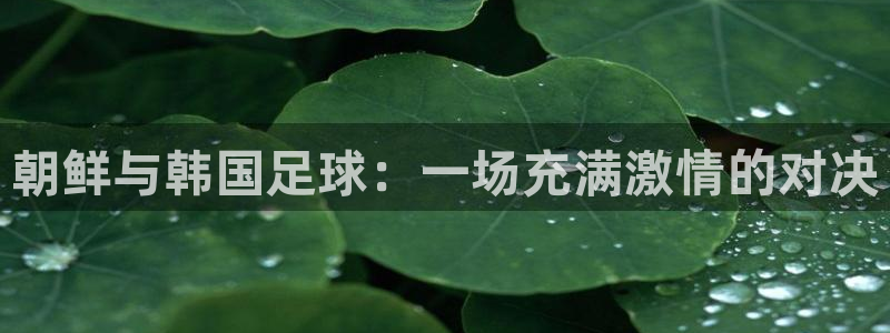 朝鲜与韩国足球：一场充满激情的对决